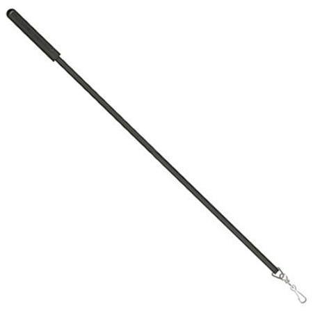 Vesta Constellation Wand